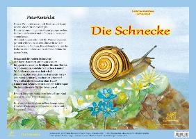 Die Schnecke - Natur-Kamishibai