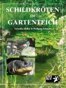 Schildkröten im Gartenteich