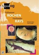 Süßwasser-Rochen voorzijde