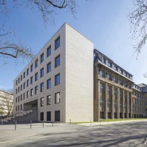 Apfelbaum, A: SSP AG, Fritz-Henßler-Berufskolleg, Dortmund