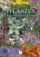 Pflanzen am Ostseestrand voorzijde