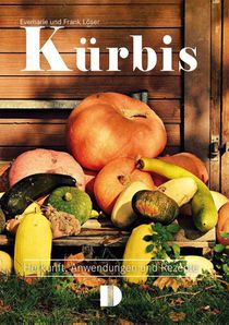 Kürbis
