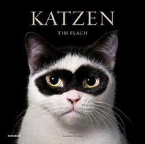Katzen