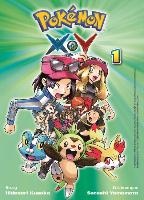 Pokémon X und Y 01