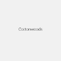 Robert Adams: Cottonwoods