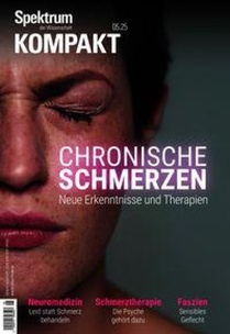 Spektrum Kompakt - Chronische Schmerzen