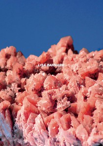 After Nature Ulrike Crespo Photography Prize 2025 - Lisa Barnard