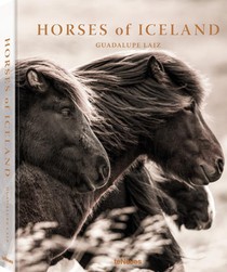 Horses of Iceland