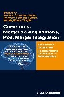 Carve-outs, Mergers & Acquisitions, Post Merger Integration