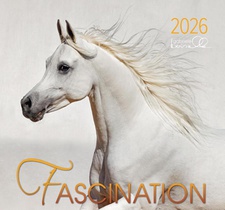 Fascination 2026
