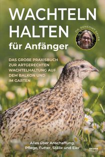 Wachteln halten für Anfänger