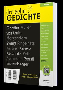 dreizehn +13 Gedichte