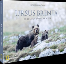 Ursus Brenta - Die Rückkehr der Bären in die Alpen