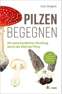 Pilzen begegnen