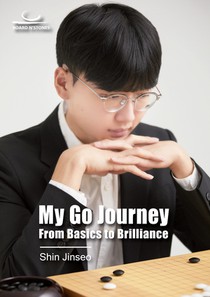 My Go Journey