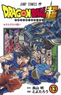 Dragon Ball Super 13