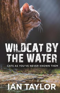 Wildcat By The Water