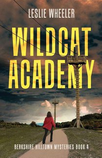 Wildcat Academy