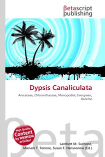 Dypsis Canaliculata