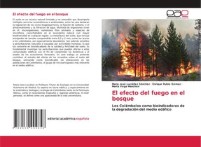 El efecto del fuego en el bosque