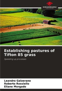 Establishing pastures of Tifton 85 grass