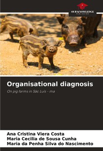 Organisational diagnosis