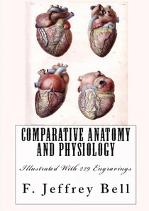 Comparative Anatomy and Physiology