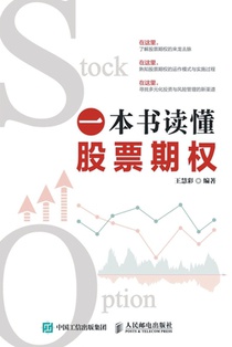 Understanding Stock Options in One Book/一本书读懂股票期权