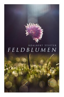 Feldblumen