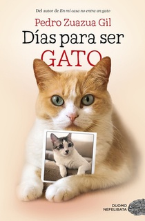 SPA-DIAS PARA SER GATO