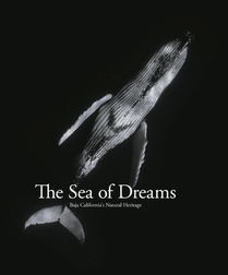 The Sea of Dreams: Baja California's Natural Heritage