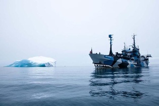 Sea Shepherd: 40 Years