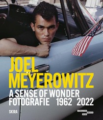 Joel Meyerowitz: A Sense of Wonder (Bilingual edition)