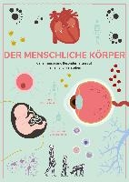 Der menschliche Körper