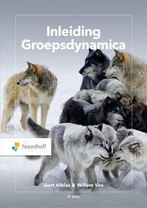 Inleiding groepsdynamica (e-book)