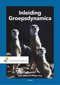 Inleiding groepsdynamica