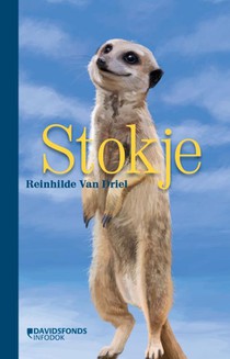 Stokje voorzijde