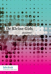 De kleine gids jeugdwet