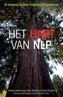 Het hart van NLP