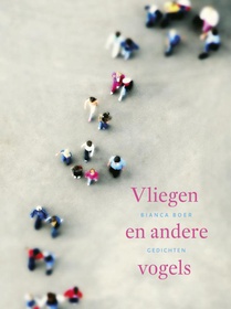 Vliegen en andere vogels