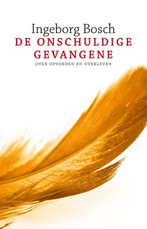 De onschuldige gevangene voorzijde