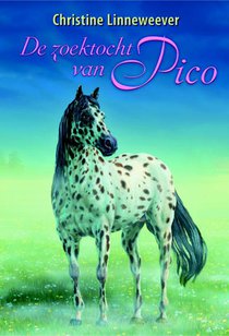 De zoektocht van Pico voorzijde