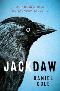 Jackdaw