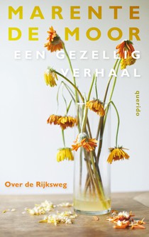 Over de Rijksweg