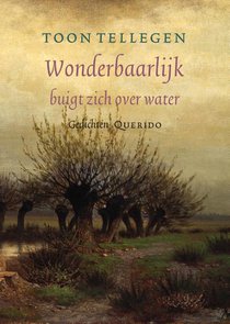 Wonderbaarlijk buigt zich over water voorzijde