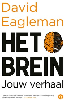 Het brein