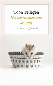 Het voornemen van de muis voorzijde