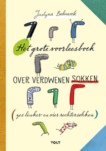 Het grote voorleesboek over verdwenen sokken