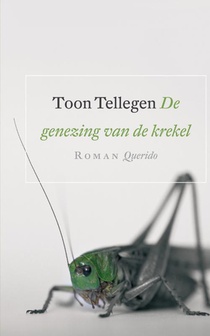 De genezing van de krekel voorzijde