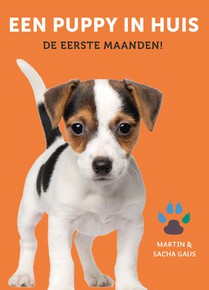 Een puppy in huis voorzijde